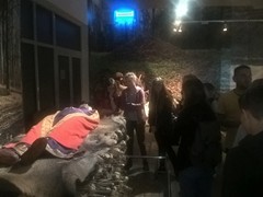 Trzcinica 2017 (11)
